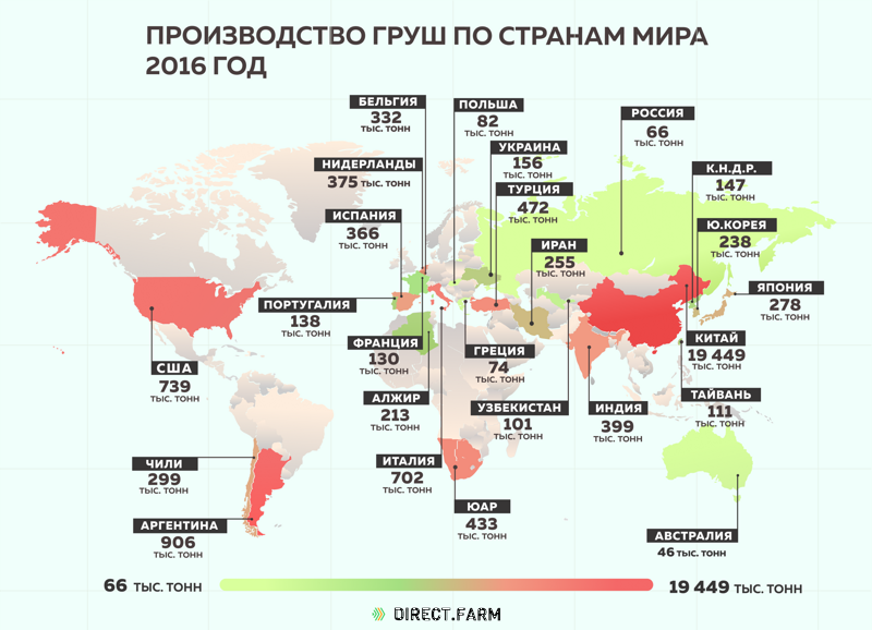 Производство груш по странам мира 2016 год