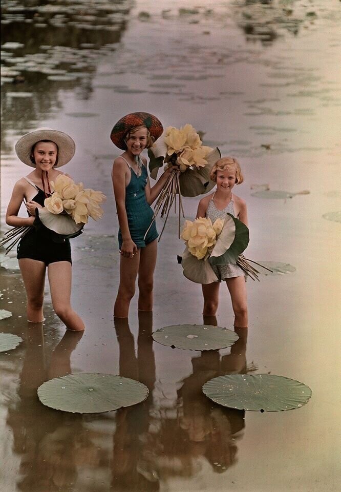 Девочки, стоящие в воде с букетами лотоса. Амана, Айова. 1938 год США,  Автохром