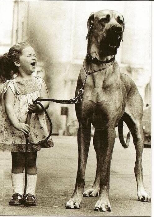 Счастливая девочка с немецким догом, 1950 год.