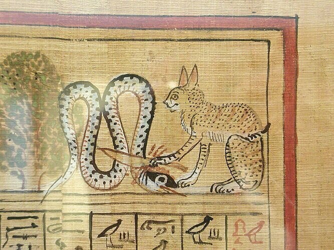 Кошка на древнем египетском папирусе