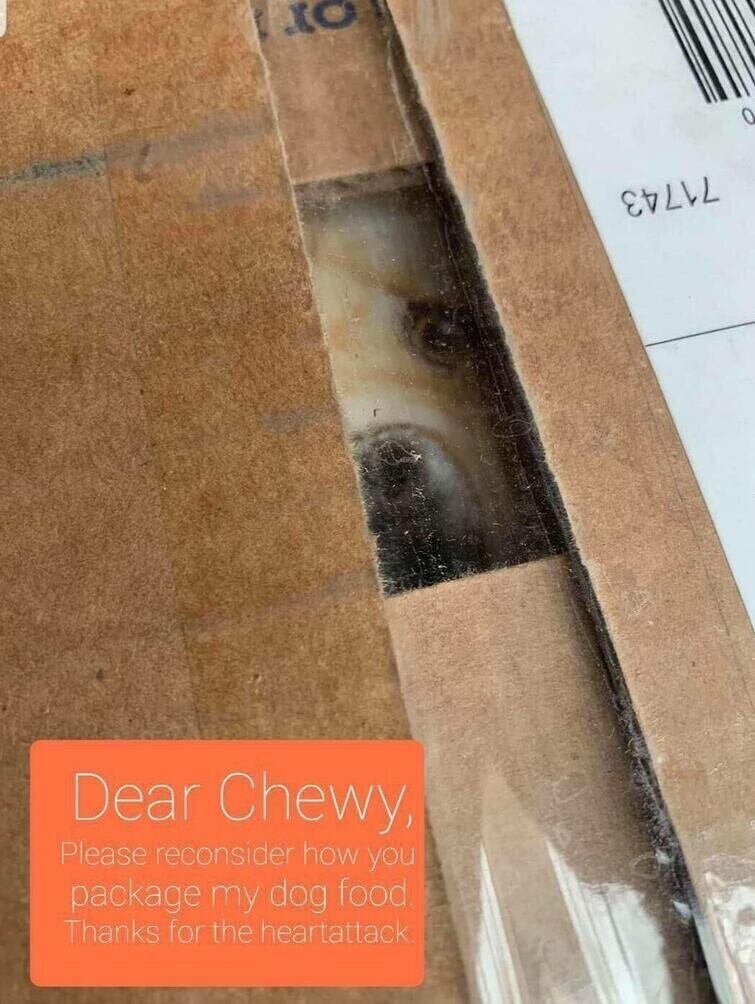"Уважаемый Chewy [сеть магазинов товаров для домашних животных], пожалуйста, пересмотрите ваш способ упаковки еды для собак. Спасибо за сердечный приступ"