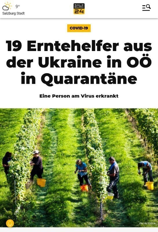 Украина отправила в Австрию заражённых коронавирусом гастарбайтеров. Обещает прислать ещё
