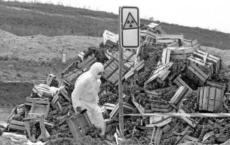 Немцы выбрасывают зараженные овощи после Чернобыльской аварии. Германия. 1986 г.