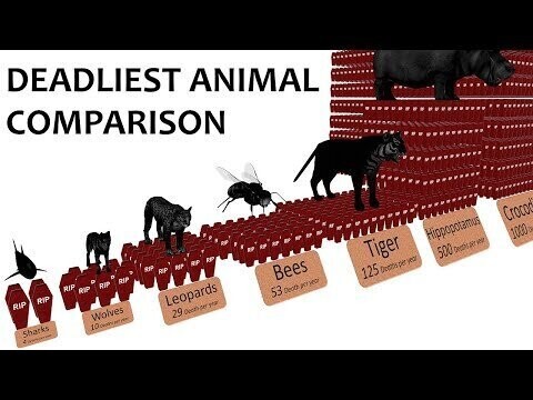 Самые опасные животные на планете 