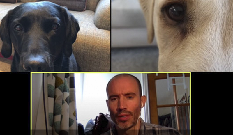 Спортивный комментатор провел видеочат со своими собаками - и стал звездой!