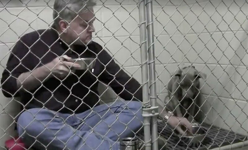 Ветеринар ел в одном вольере с собакой, чтобы спасти ей жизнь