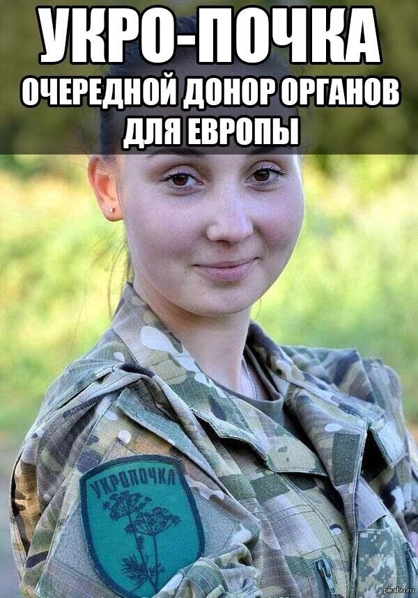 Политические комментарии из инета