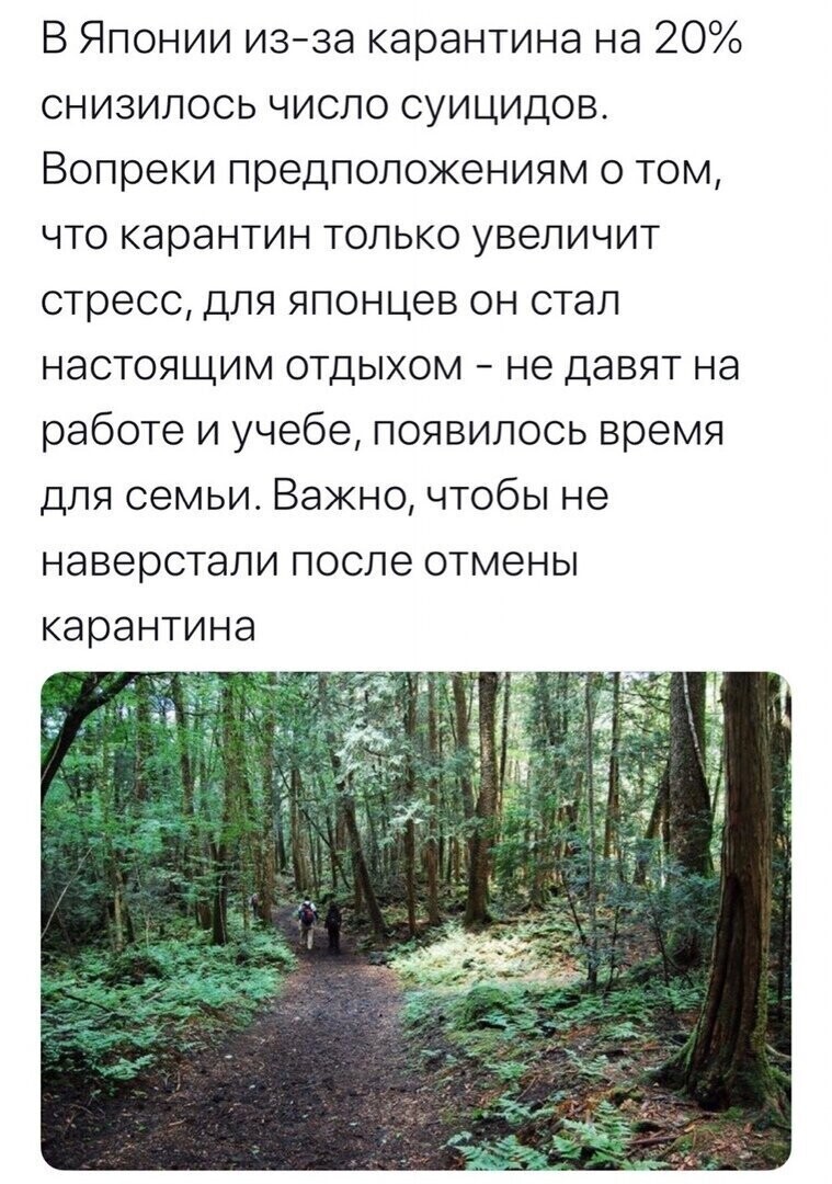Политические комментарии из инета