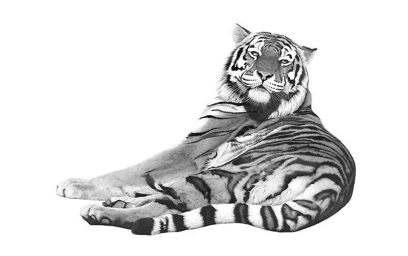 Сибирская тигрица: