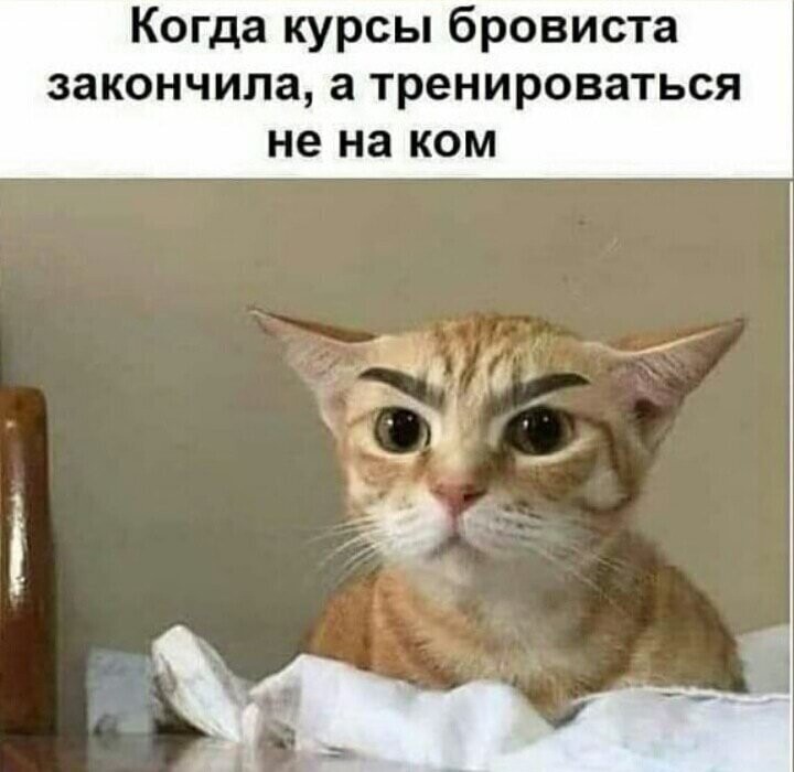 Смешные картинки и не очень