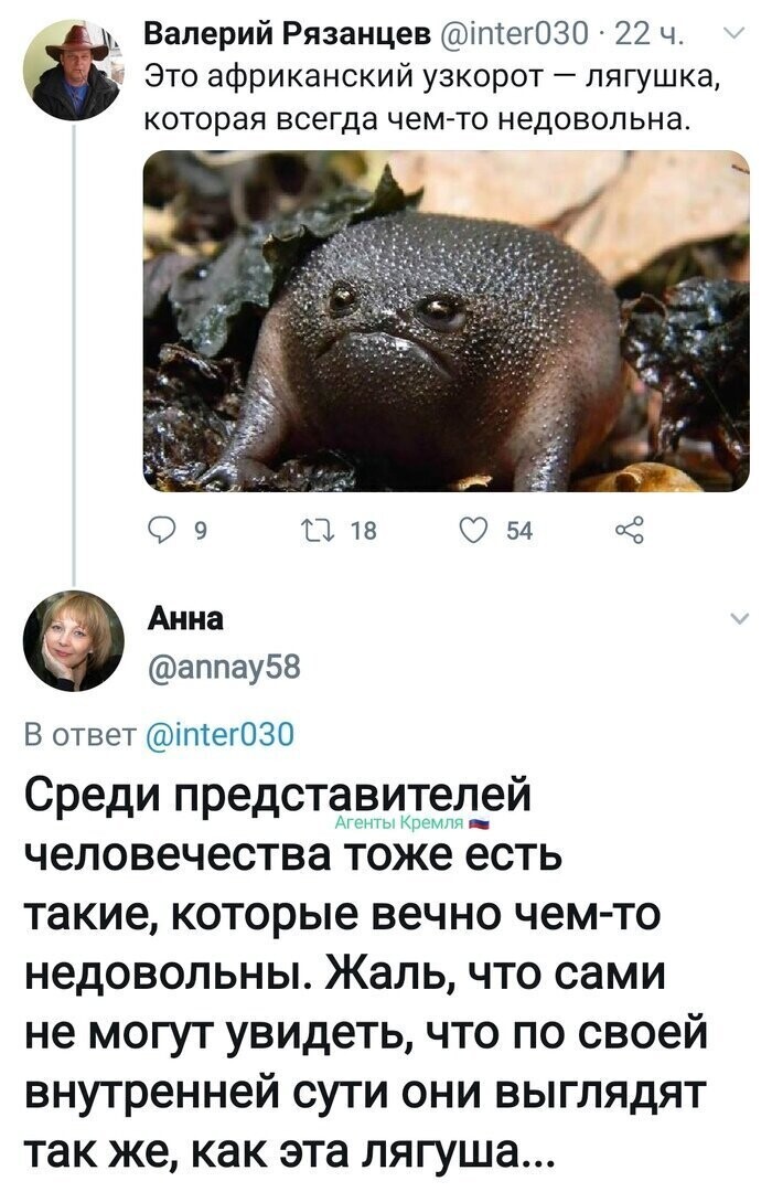 Политические комментарии 2