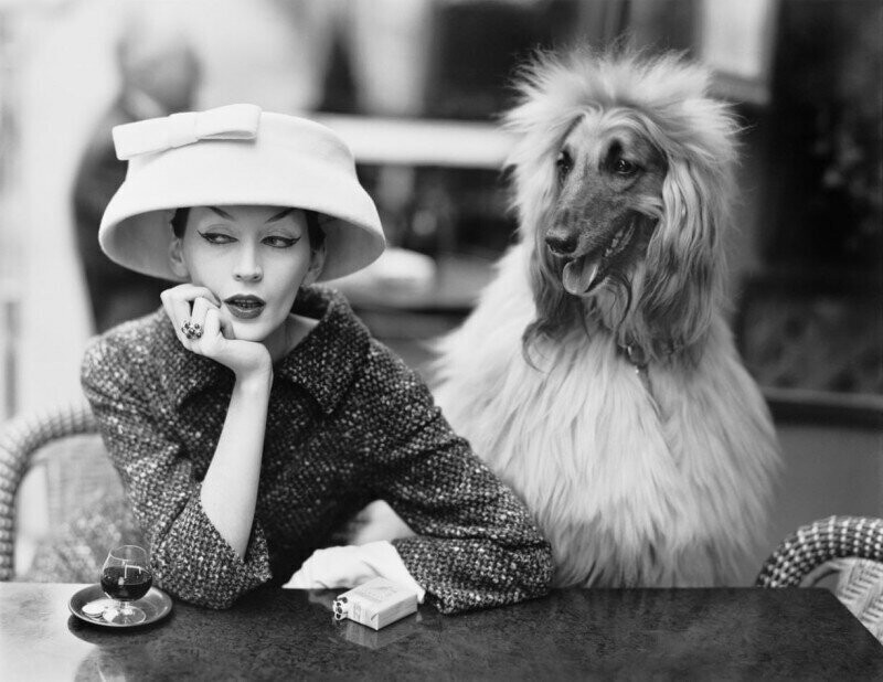 Модель Довима в кафе Les Deux Magots в Париже, 1955