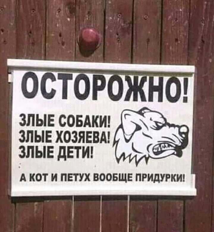 Смешные картинки и не очень