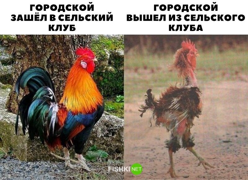 Не ищите здесь смысл. Здесь в основном маразм