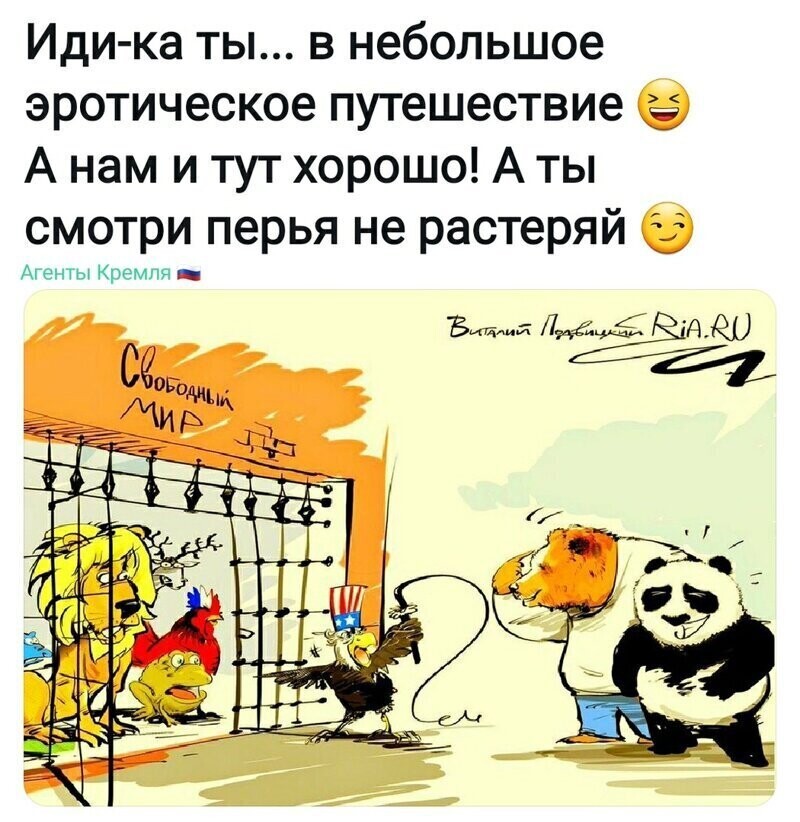 Политические комментарии из инета