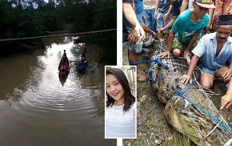 Крокодил не смог съесть девушку, поскольку у хищника отсутствовали зубы