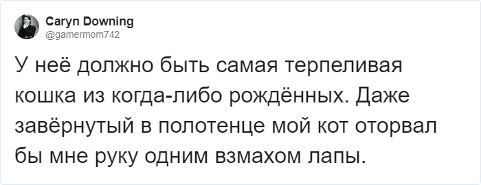 Кейт Бекинсейл весело играет в парикмахерскую со своим котом Клайвом