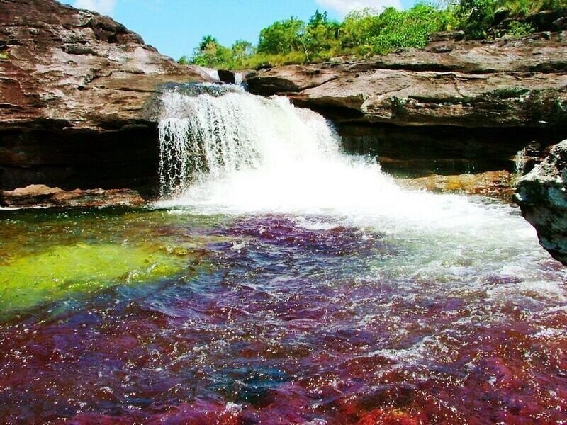 Каньо Кристалес - самая красивая река в мире