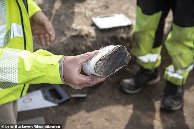 Кусок дерева от корабля, найденная во время раскопок 2019 года