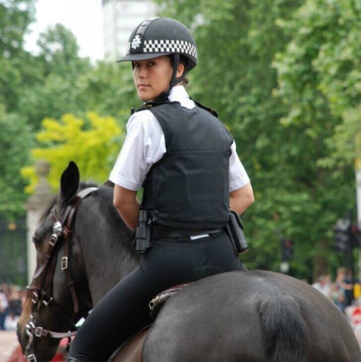 Великобритания. Здесь не боятся ни лошадей, ни полицейских.