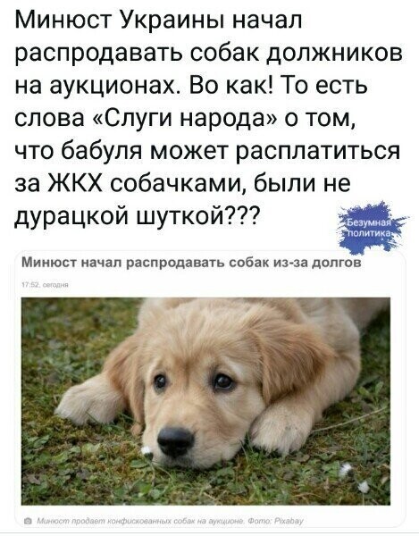 Политические комментарии из инета