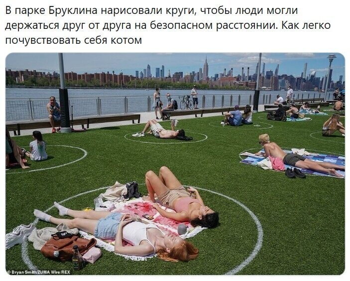 Политические комментарии из инета
