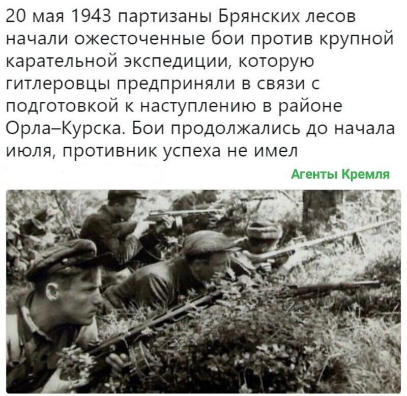 Политические комментарии из инета