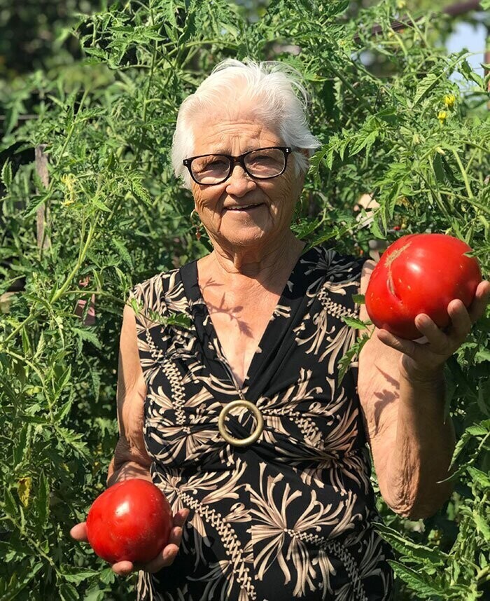 3. "Моя бабуля попросила показать всем в интернете, какие большие помидоры у нее растут"
