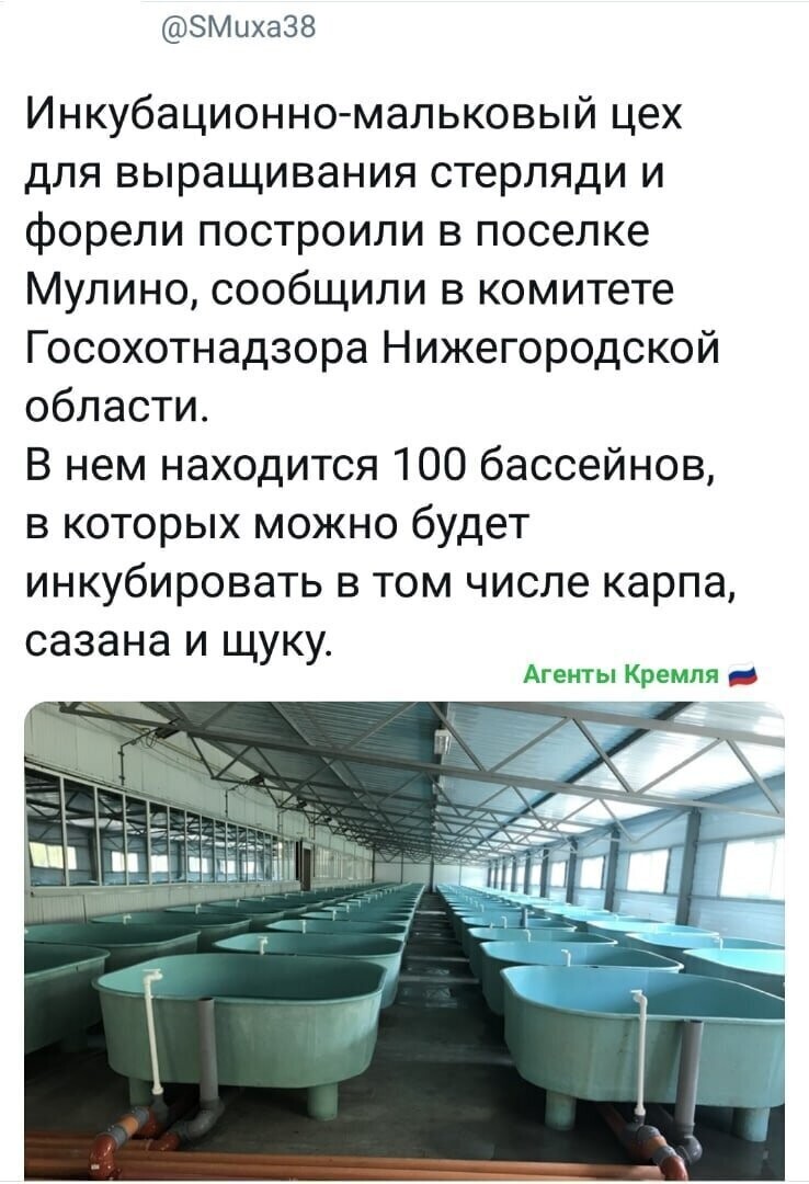 Политические комментарии 2