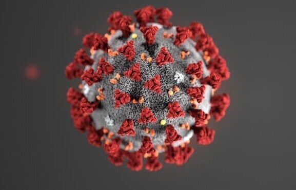 Испытания вакцины от коронавируса оказались успешными