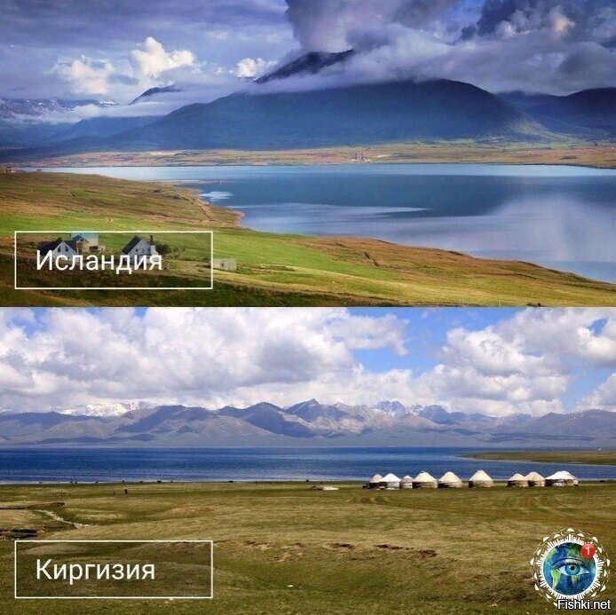 Солянка