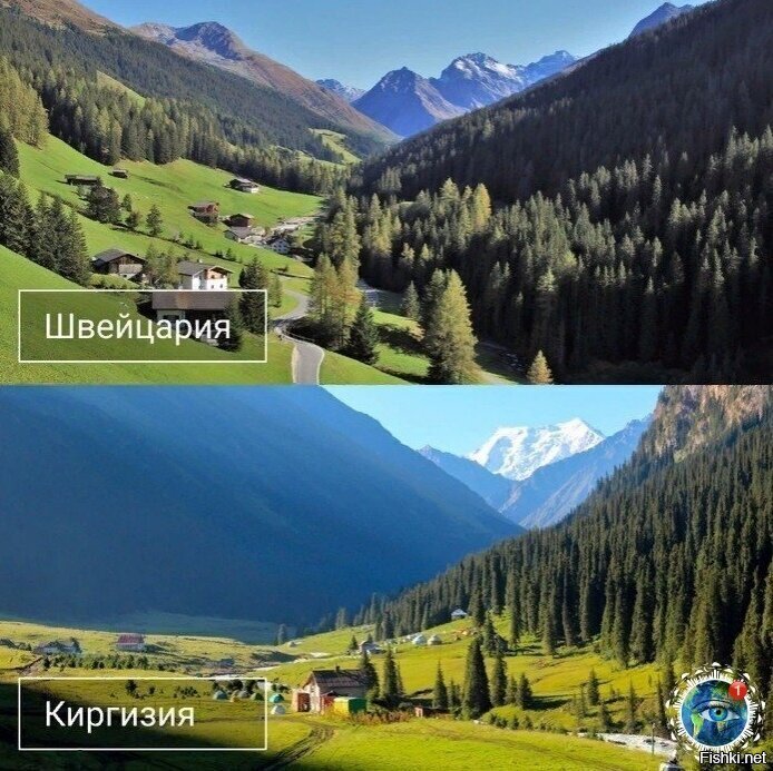 Солянка