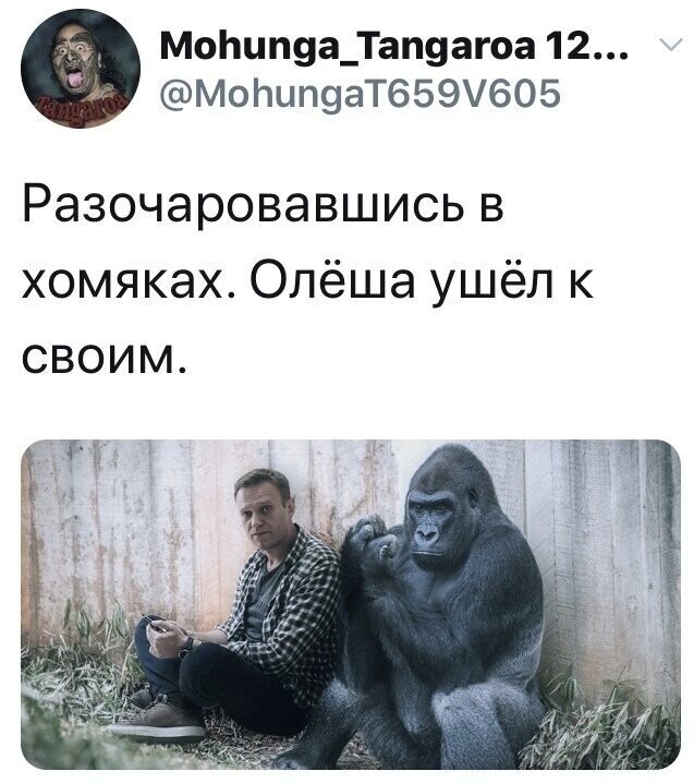 Политические комментарии 2