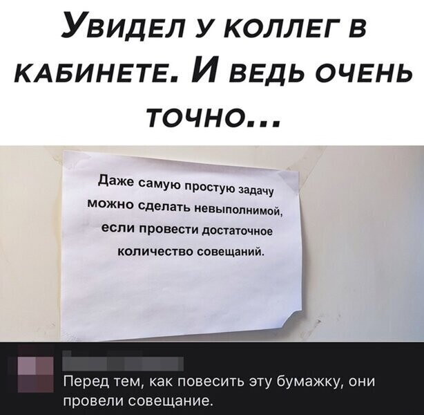 Прикольные и смешные картинки