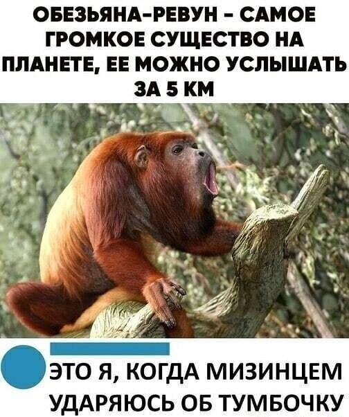 Смешные картинки и не очень