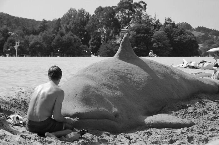 Художник делает из песка почти настоящих животных