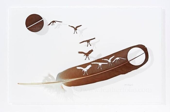 Художник превращает перья птиц в произведения искусства