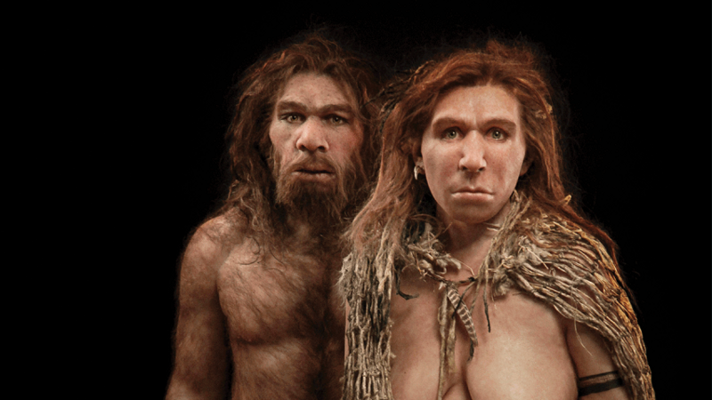Суперкомпьютер определил, почему вымерли неандертальцы