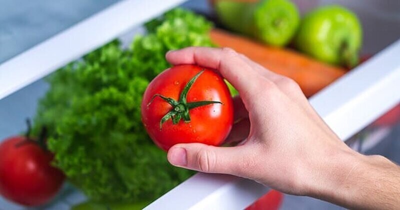 Хорошая новость: помидоры можно хранить в холодильнике
