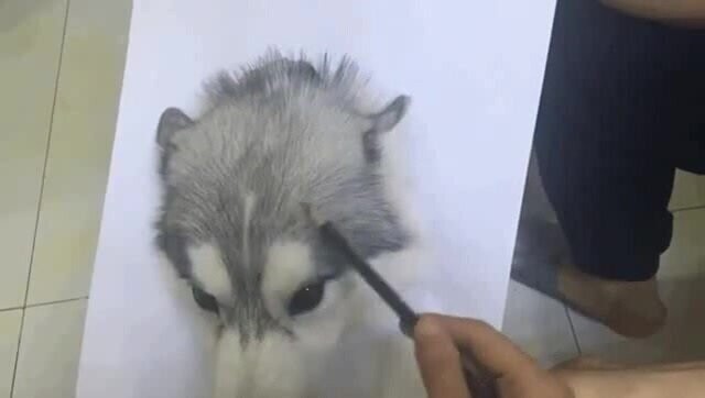 Рисуем карандашом собаку 