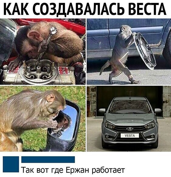 Прикольные и смешные картинки