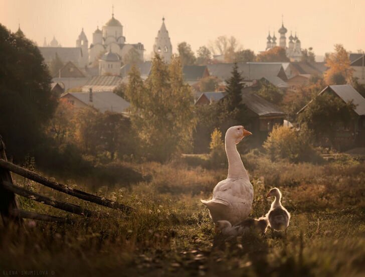 Город Суздаль, Россия.