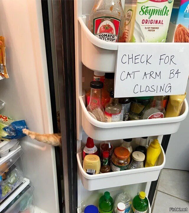 Надпись на листе: «Проверь кошачью лапу перед закрытием»
