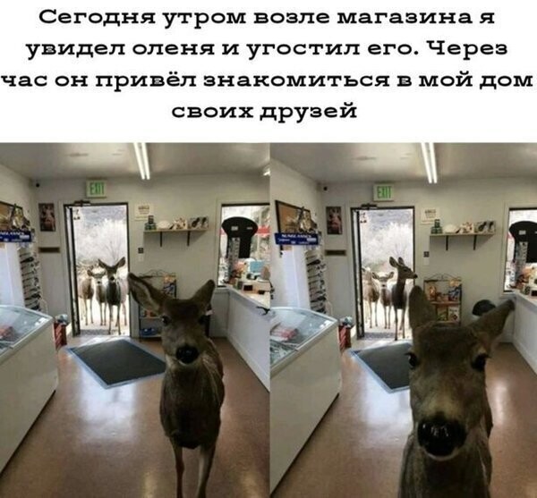 Скрины из социальных сетей