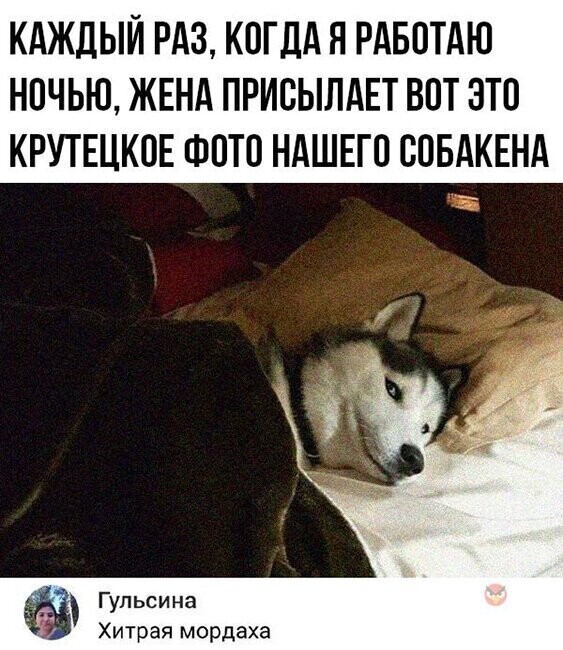 Прикольные и смешные картинки