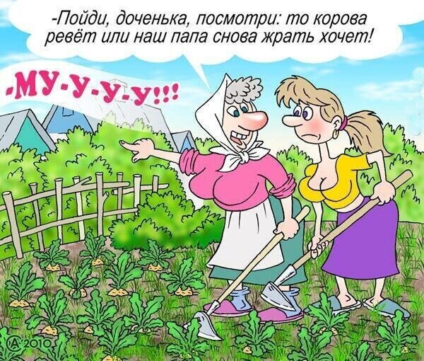 Страна Карикатурия