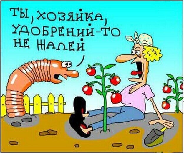 Страна Карикатурия