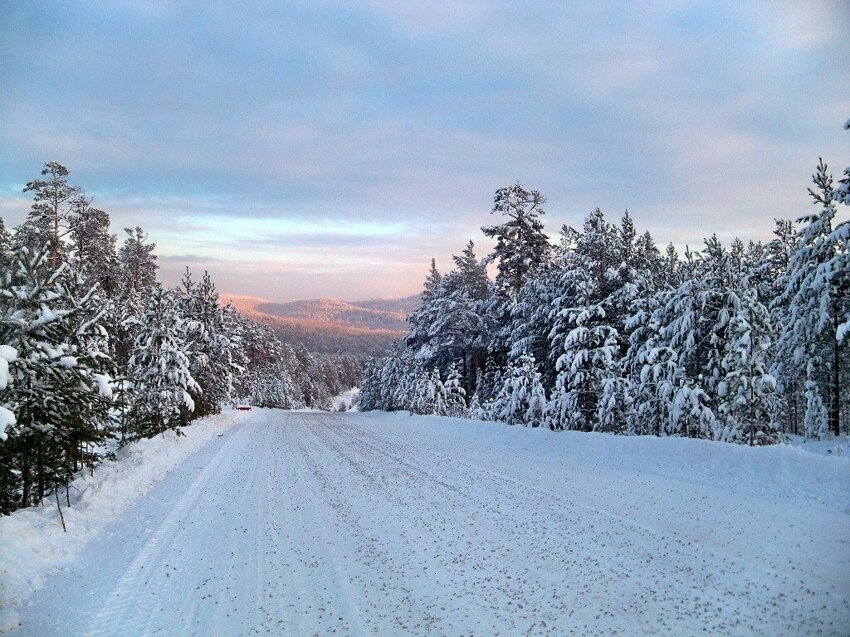 город сосновый бор красноярский край. удачный коттеджный поселок красноярск. сосновый бор красноярский край. большеулуйский район сосновый бор. удачный коттеджный поселок красноярск.