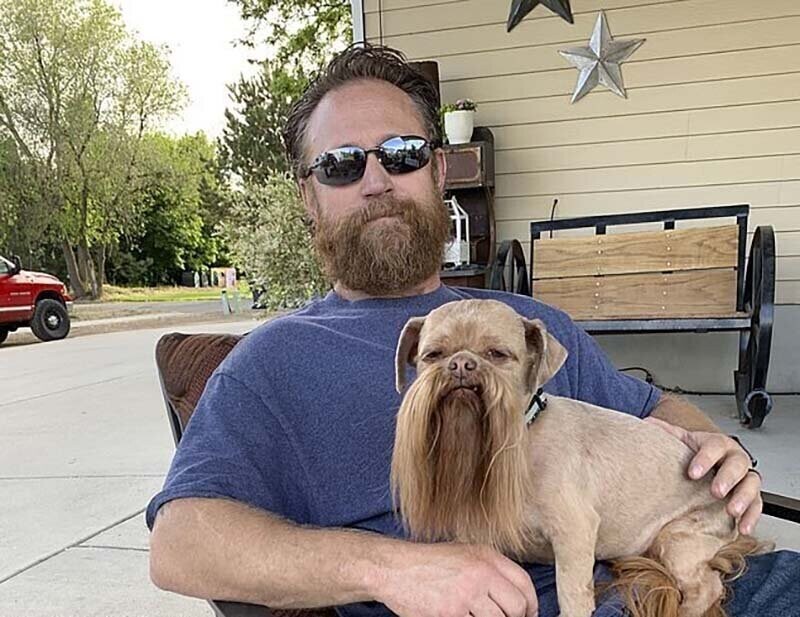 Собака-хипстер с длинной бородой