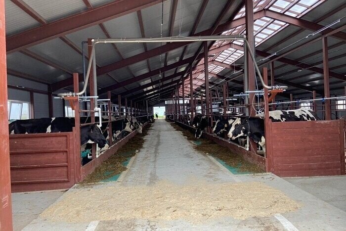 В Советском районе Кировской области после реконструкции открыли молочную ферму